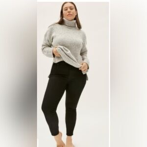 Everlane The Curvy High-Rise Skinny Jean